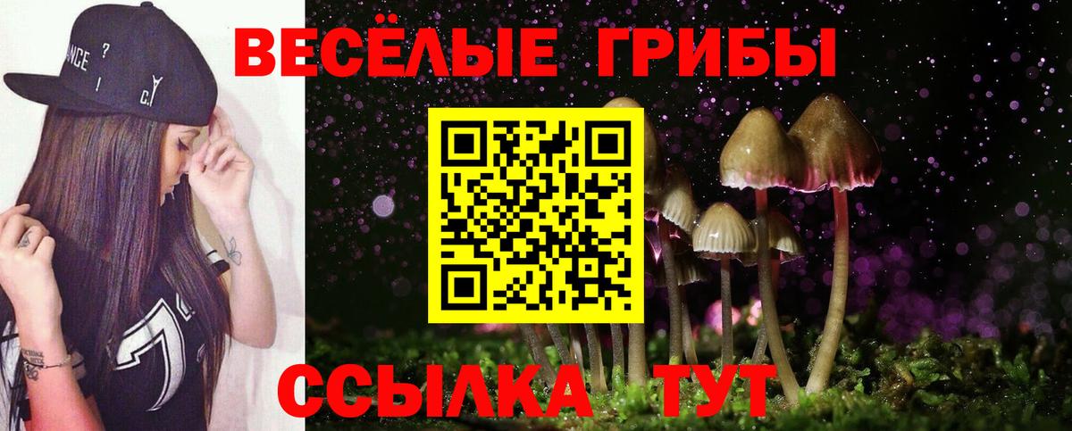 Галлюциногенные грибы ЛСД Мичуринск