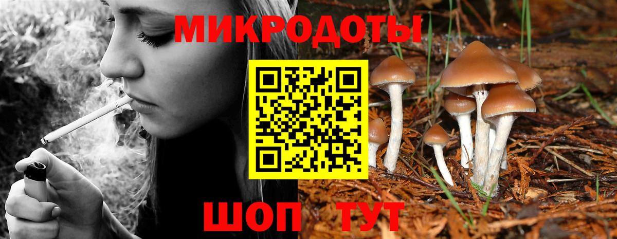 Галлюциногенные грибы Psilocybine cubensis  Вход с VPN  Мичуринск  Псилоцибиновые грибы MAGIC MUSHROOMS 